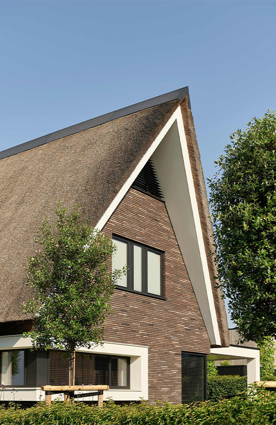 Project in Meerstad met rieten kap