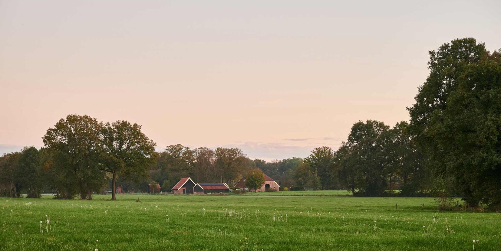 Bouwgrond