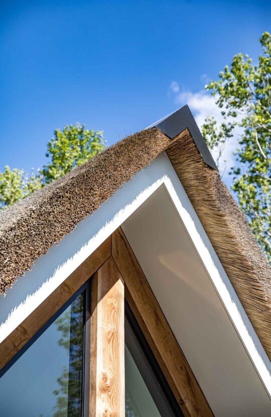 Luxe villa Epe detail foto rieten dak