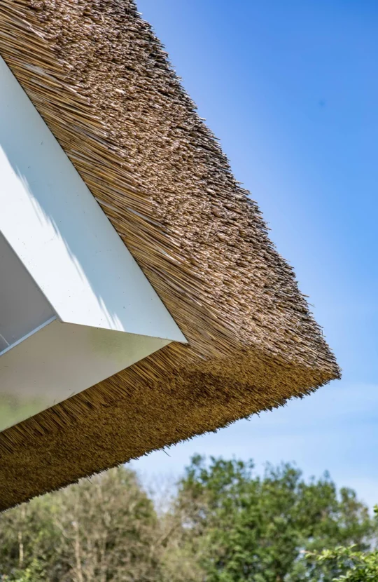 Details van een rietdak van een moderne villa