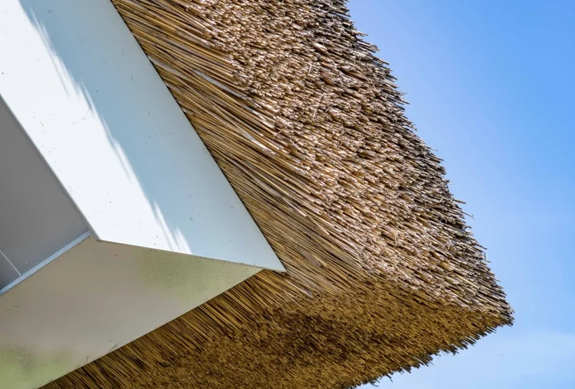 Details van een rietdak van een moderne villa