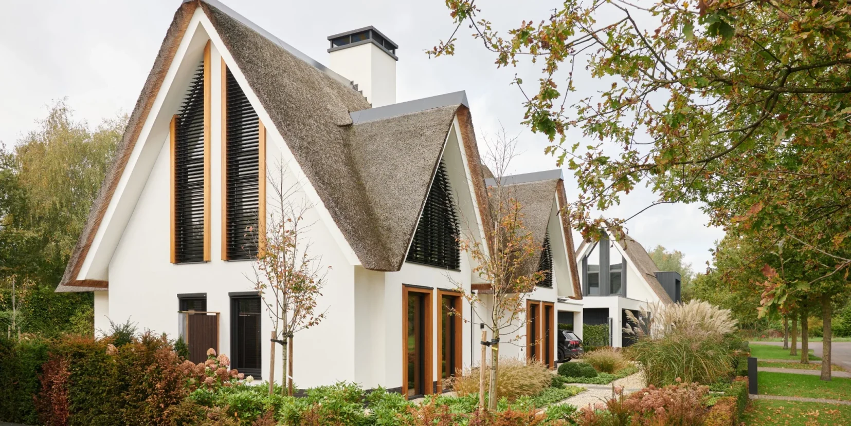 Moderne villa met rieten dak